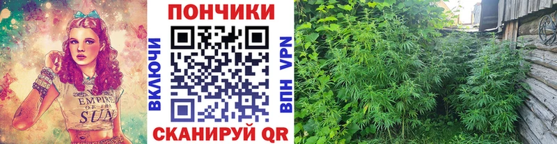 Где купить наркоту Ужур LSD-25  МЕФ  Конопля  Cocaine  А ПВП 